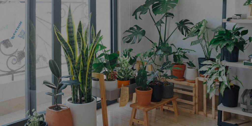 plants store hero section img bg